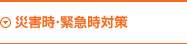 災害時・緊急時対策